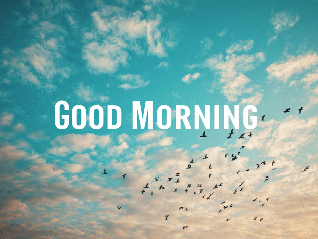 good morning​, good morning images​, good morning good picture​, good morning wishes​, good morning pic​, new good morning images​ (511)