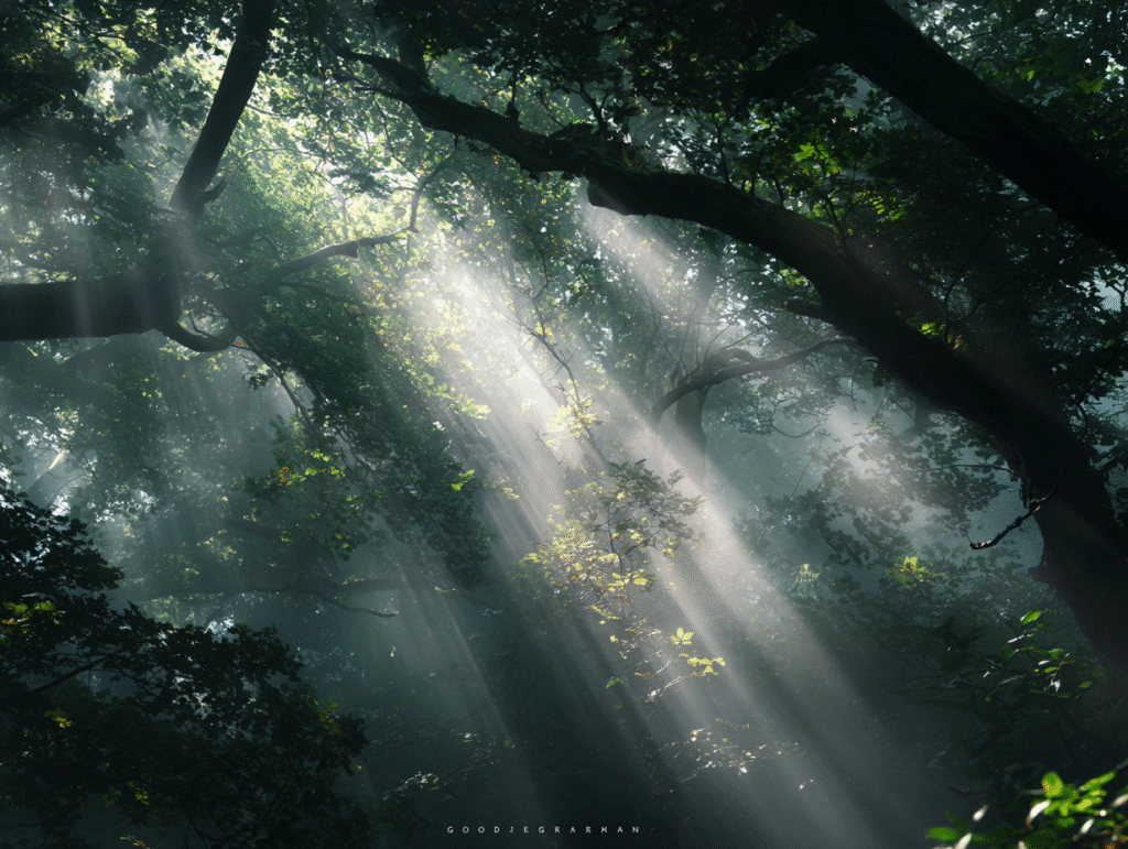 good morning​, good morning images​, good morning good picture​, good morning wishes​, good morning pic​, new good morning images​ (929)