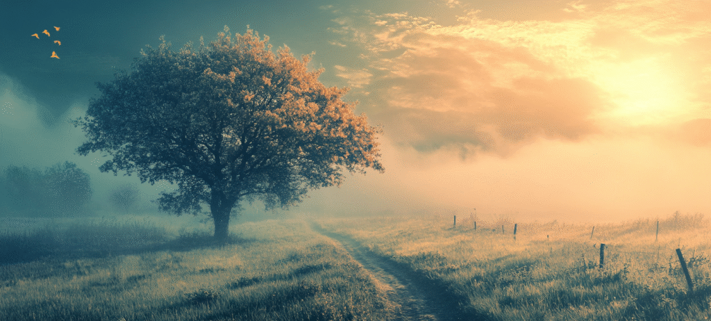 cool background,background, Cool Background Images – Free Royalty Free HD Photos (127)