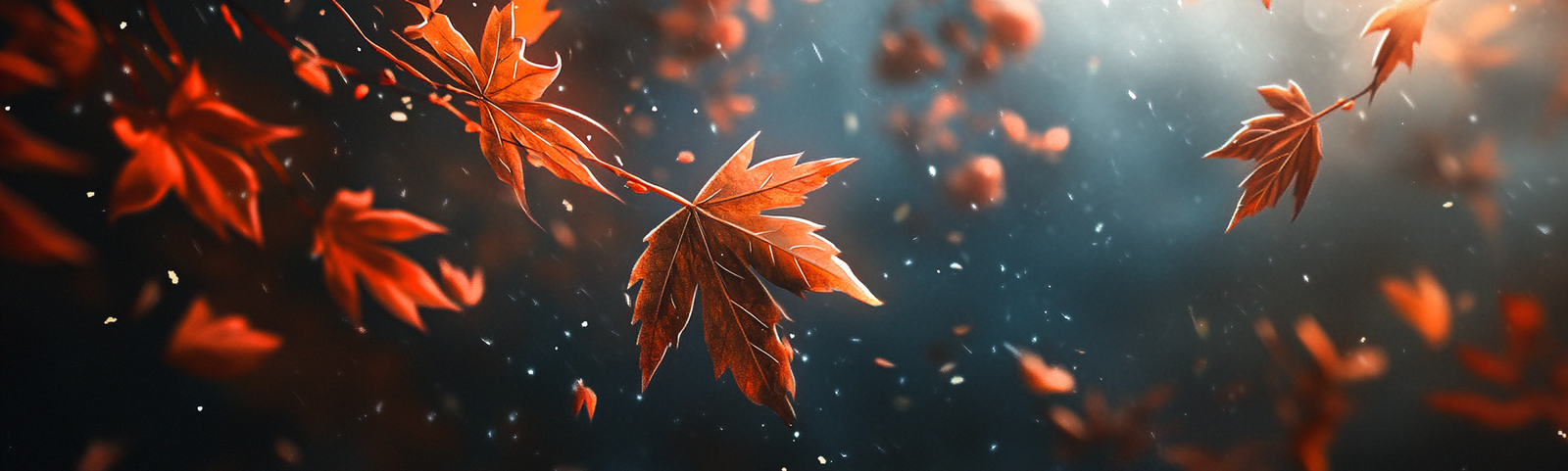 fall background, fall backgrounds for desktop, cute fall backgrounds, fall backgrounds, fall background wallpaper, background, (275)