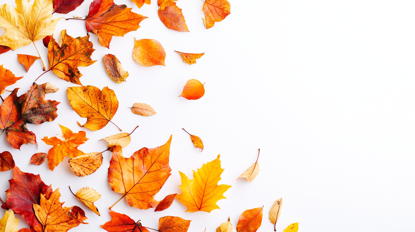 fall background, fall backgrounds for desktop, cute fall backgrounds, fall backgrounds, fall background wallpaper, background, (323)