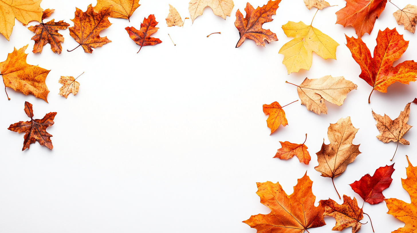 fall background, fall backgrounds for desktop, cute fall backgrounds, fall backgrounds, fall background wallpaper, background, (343)