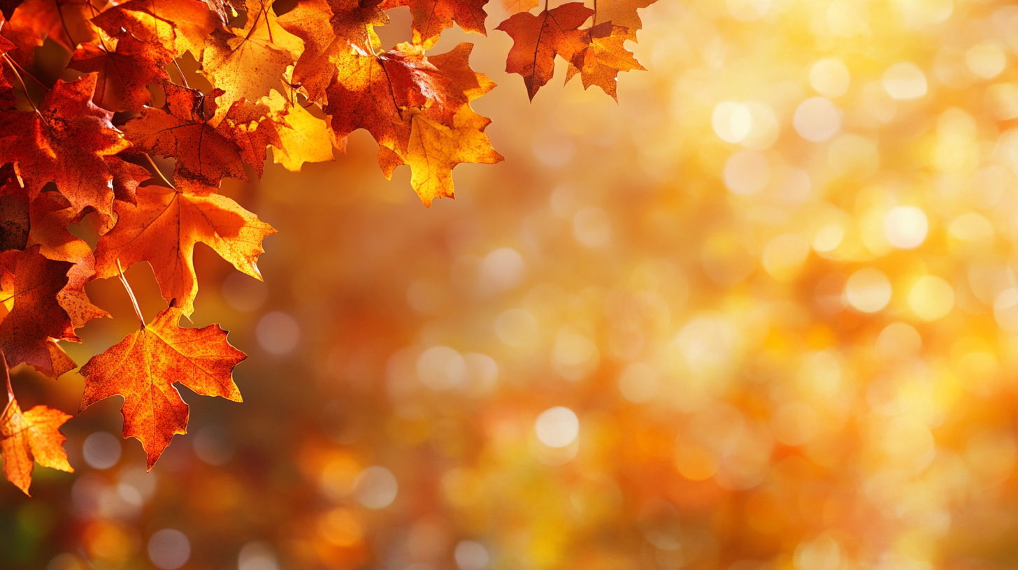 fall background, fall backgrounds for desktop, cute fall backgrounds, fall backgrounds, fall background wallpaper, background, (348)