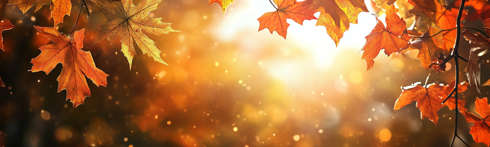 fall background, fall backgrounds for desktop, cute fall backgrounds, fall backgrounds, fall background wallpaper, background, (354)