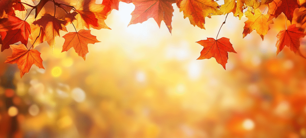 fall background, fall backgrounds for desktop, cute fall backgrounds, fall backgrounds, fall background wallpaper, background, (377)