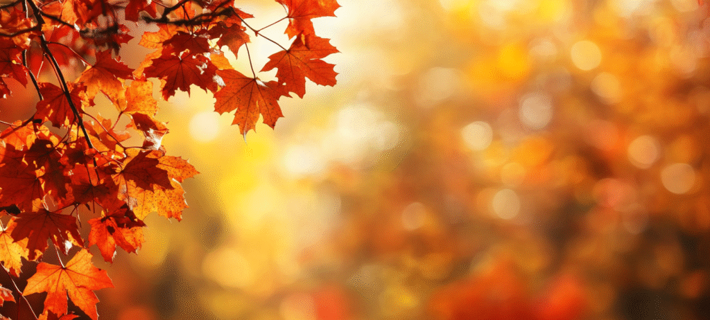 fall background, fall backgrounds for desktop, cute fall backgrounds, fall backgrounds, fall background wallpaper, background, (380)