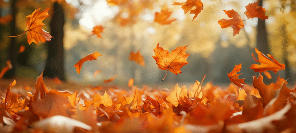 fall background, fall backgrounds for desktop, cute fall backgrounds, fall backgrounds, fall background wallpaper, background, (383)