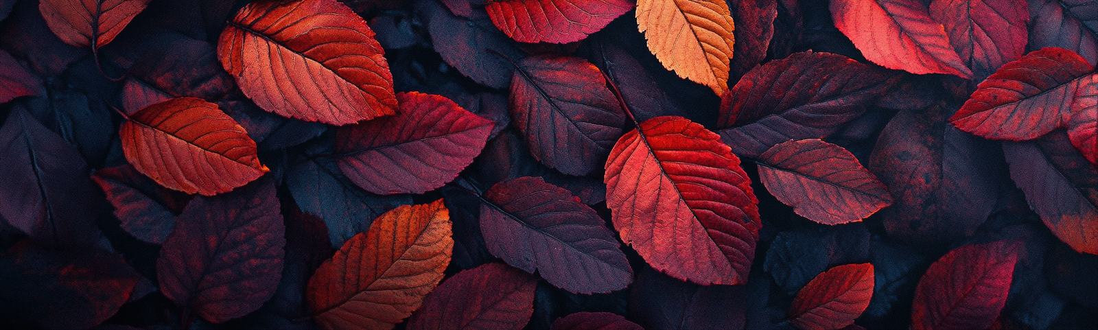 fall background, fall backgrounds for desktop, cute fall backgrounds, fall backgrounds, fall background wallpaper, background, (4)