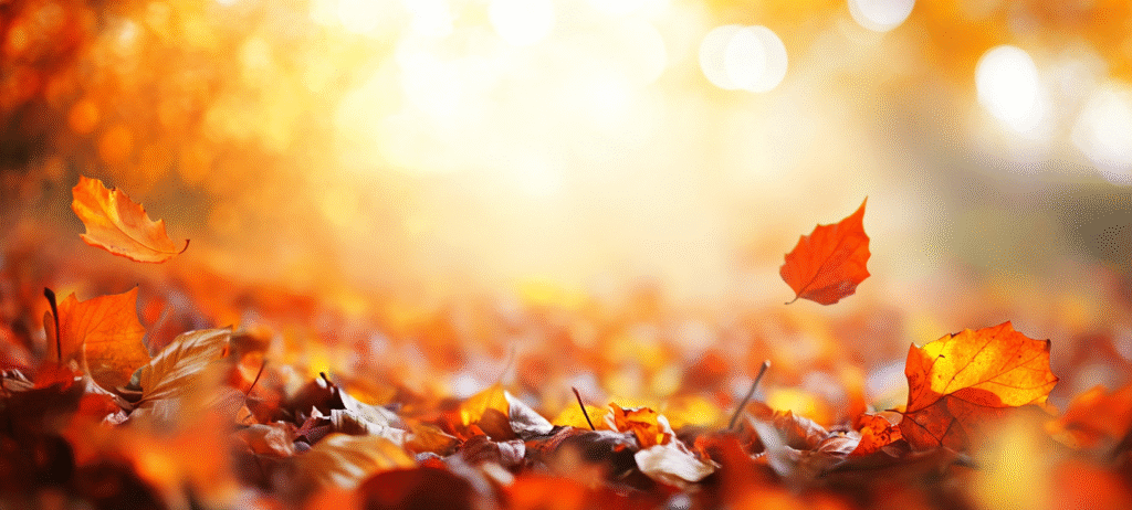 fall background, fall backgrounds for desktop, cute fall backgrounds, fall backgrounds, fall background wallpaper, background, (410)