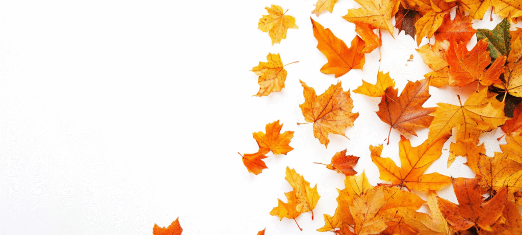 fall background, fall backgrounds for desktop, cute fall backgrounds, fall backgrounds, fall background wallpaper, background, (424)