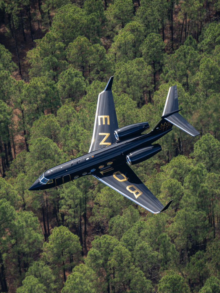 A sleek black Gulfstream jet flying low over the pine coverd d37eb14b 57b4 4650 9035 498f133f03fb 1