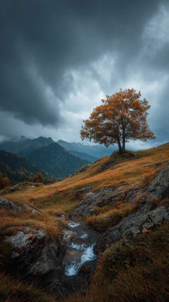 beautiful nature image, royalty free, free download, nature image, beautiful nature pic, beautiful nature photo, nature photo (216)